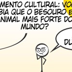 Momento cultural