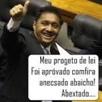 1º Projeto de Lei do Tiririca
