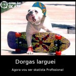Dorgas larguei agora vou ser profissional