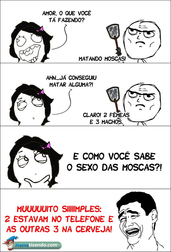 Como-saber-o-sexo-das-moscas.jpg