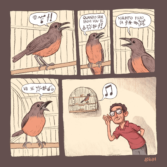 O que os passarinhos cantam de verdade
