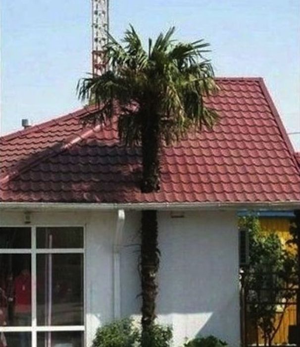 architects_who_completely_screwed_up_their_one_job_14