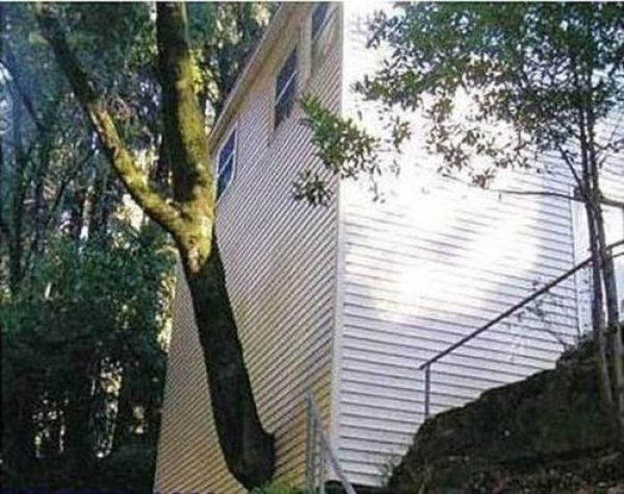 architects_who_completely_screwed_up_their_one_job_15