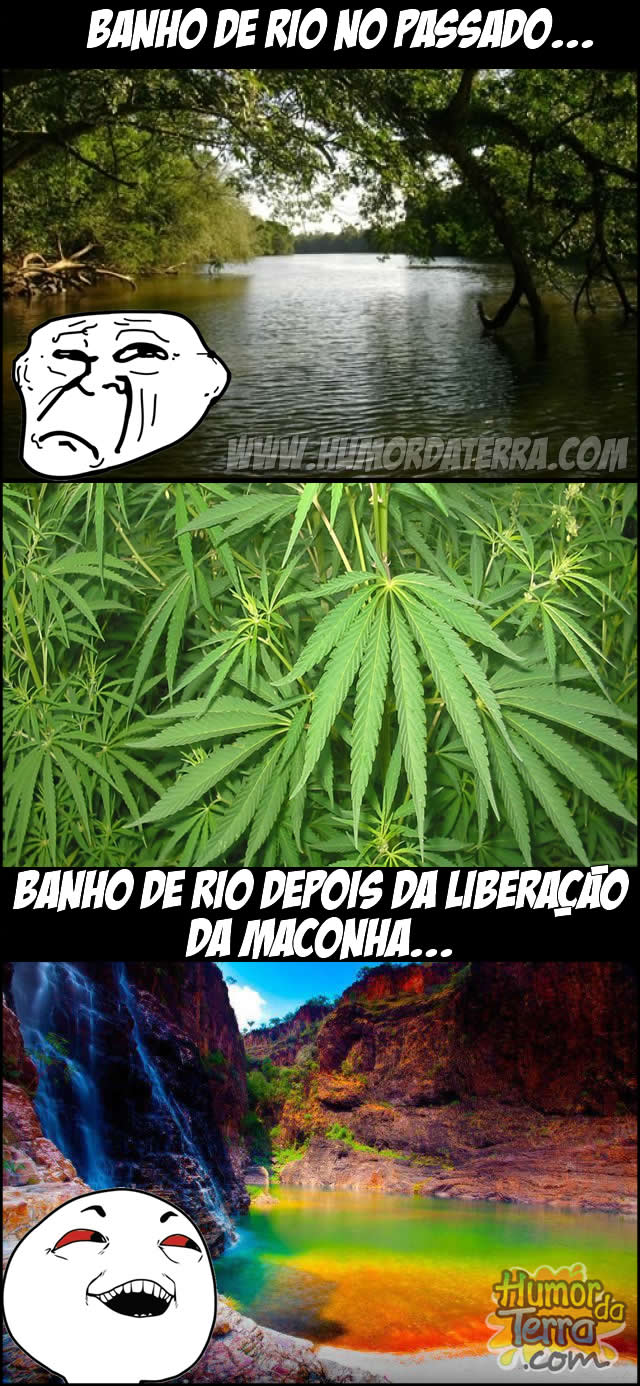 humordaterra-liberacao-maconha