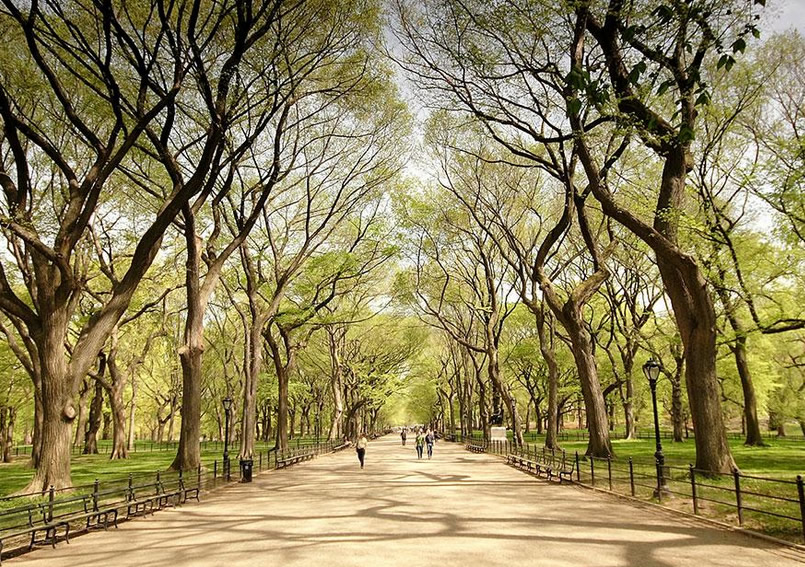 Central Park, New York City