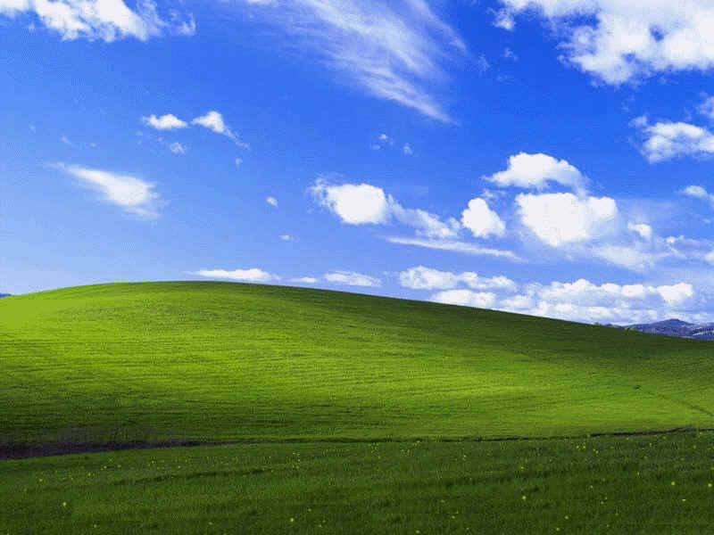 default_800x600_windows_xp_wallpaper-normal