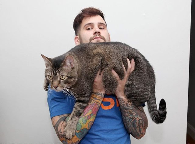 gatogordo9