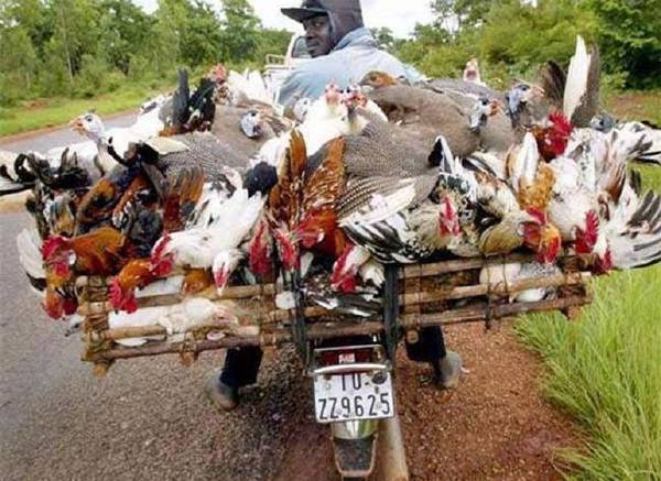 moto-fail-18