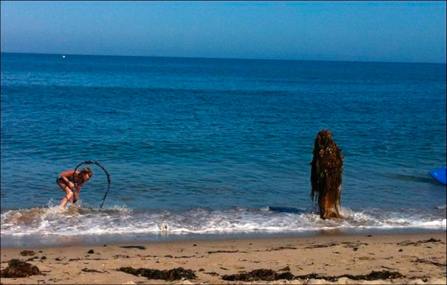 cenas-inusitadas-capturadas-na-praia-12