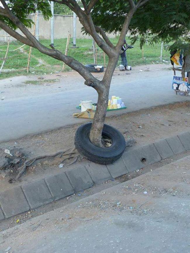 imagens-impossiveis-10