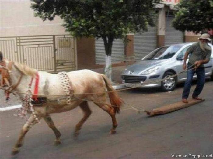 imagens-divertidas-malucas-16