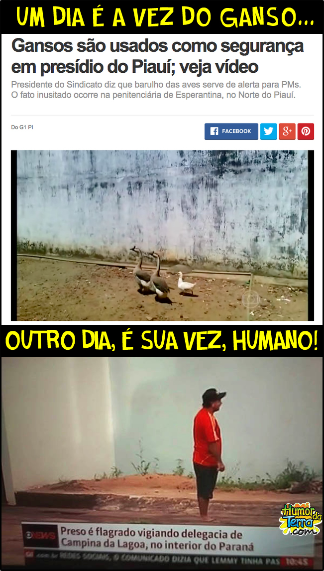 noticias-bizarras-vigilantes