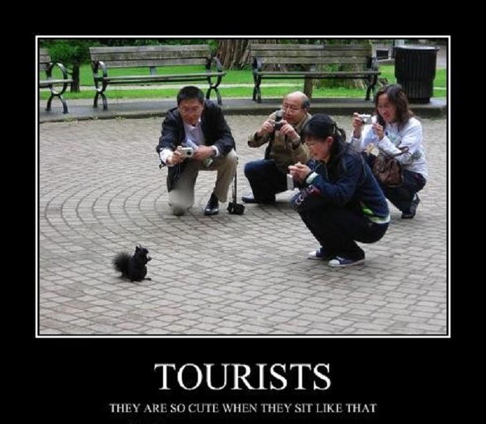 fotos-turistas-fails-18