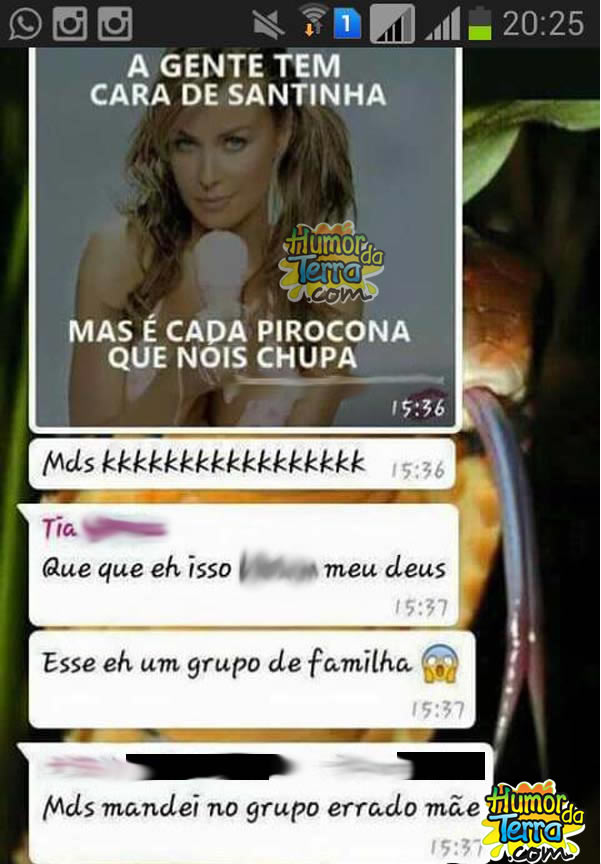 mensagem-whats-grupo-errado-humordaterra