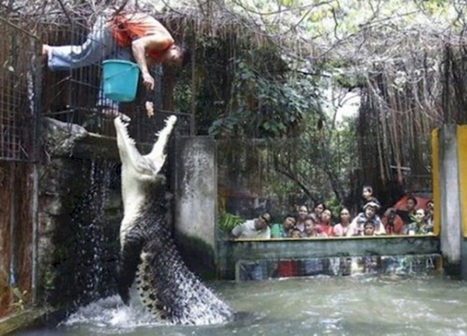 trabalhos-fails-7