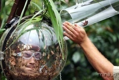 imagens-curiosas-18