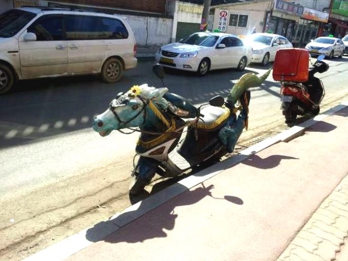 imagens-curiosas-24
