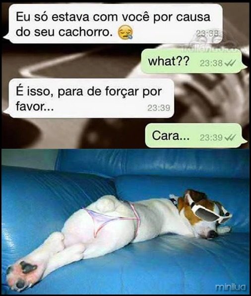 perolas-whatsapp-maio-18