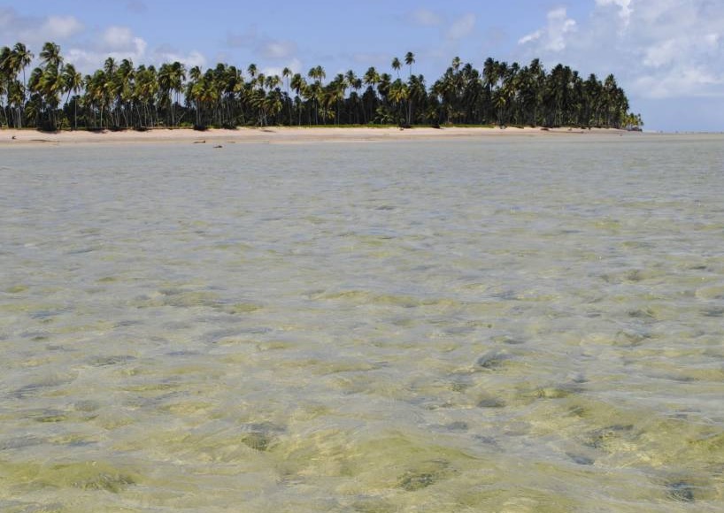 Porto de Pedras - Alagoas