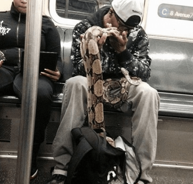 Provas-de-que-o-metrô-não-pertence-a-esse-mundo-5