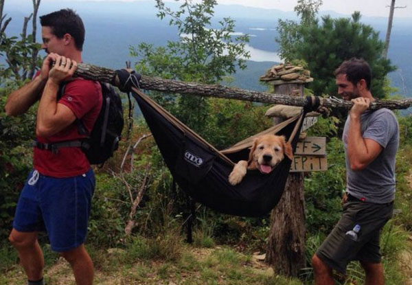 imagens divertidas da semana 3