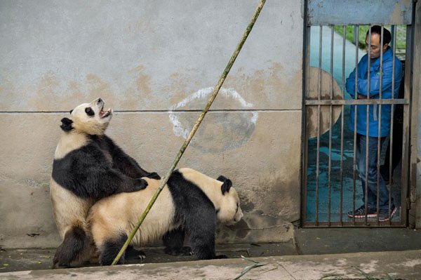 melhores e mais divertidas imagens da semana 29