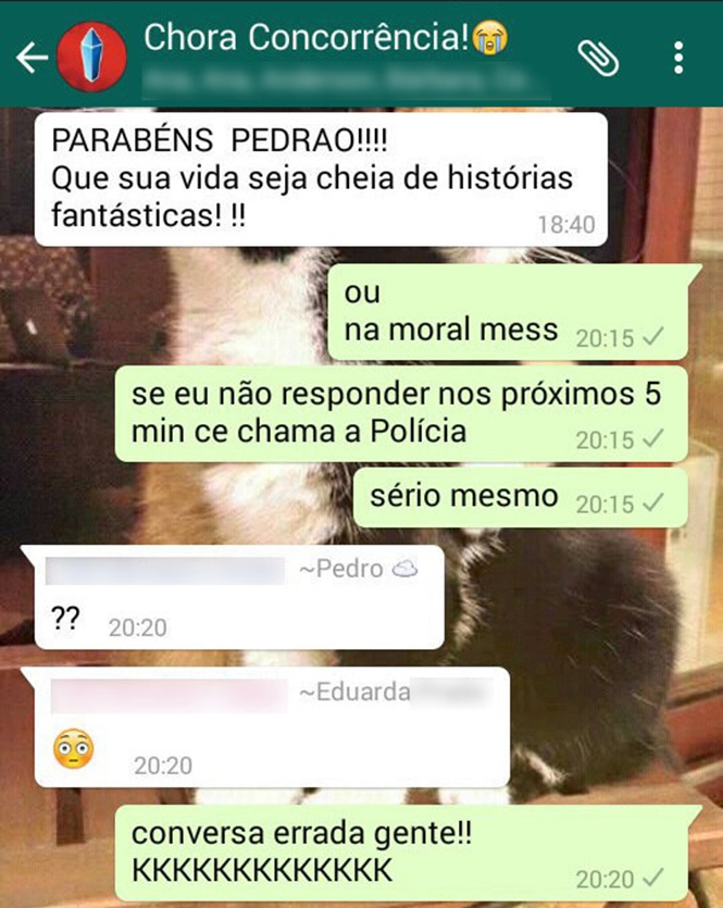 pessoas que enviaram mensagens para o grupo errado do Whatsapp 6