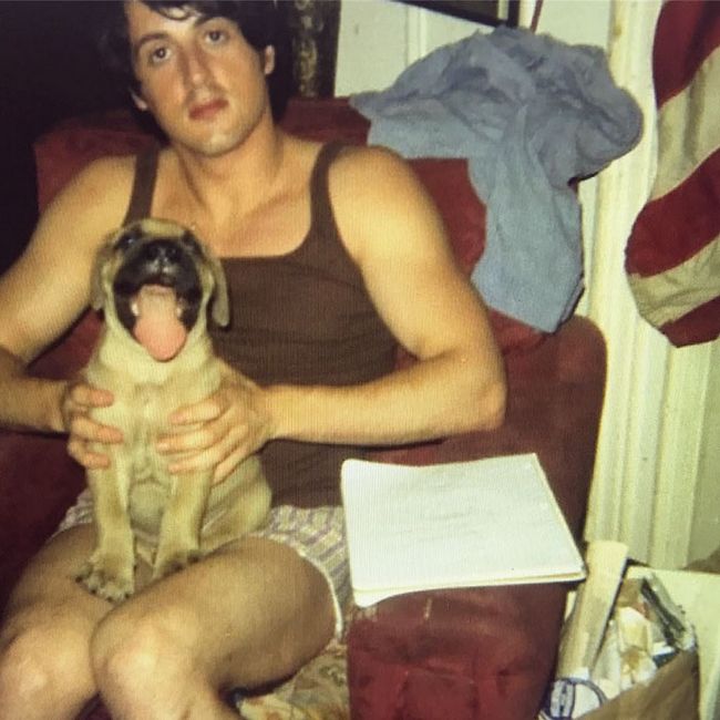 sylvester-stallone-cachorro-2