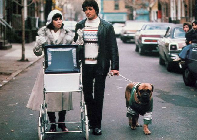 sylvester-stallone-cachorro-8