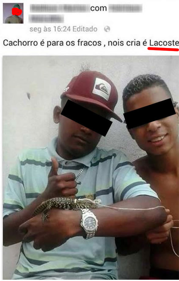 Facebook é pior do que o Orkut