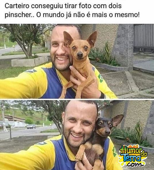 carteiro com pinscher