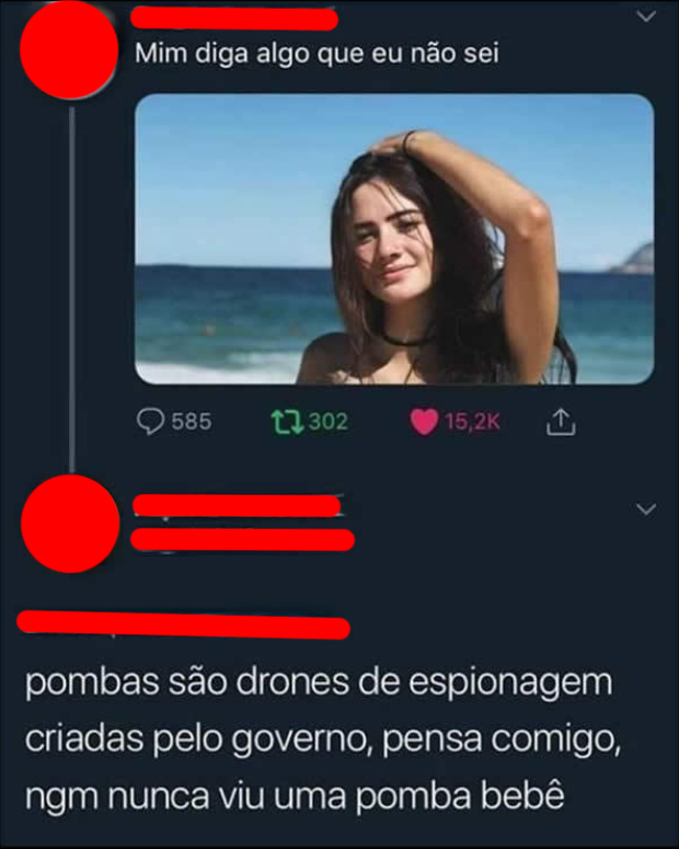 existe filhote de pombo?