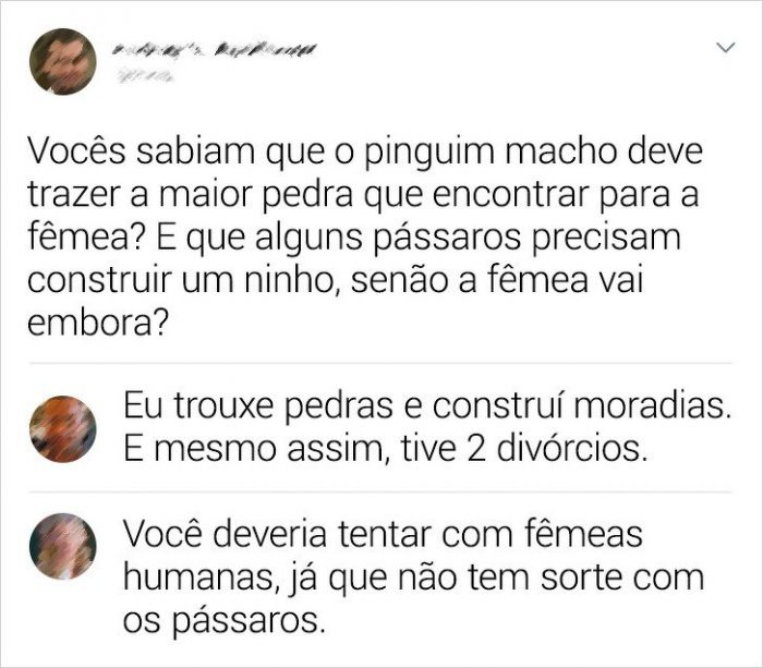 internautas que destilaram seu veneno nas redes sociais