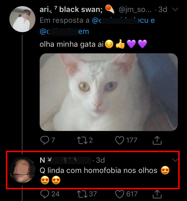 heterocromia nos gatos