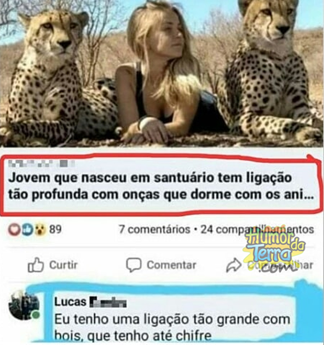 zoeira sem fim