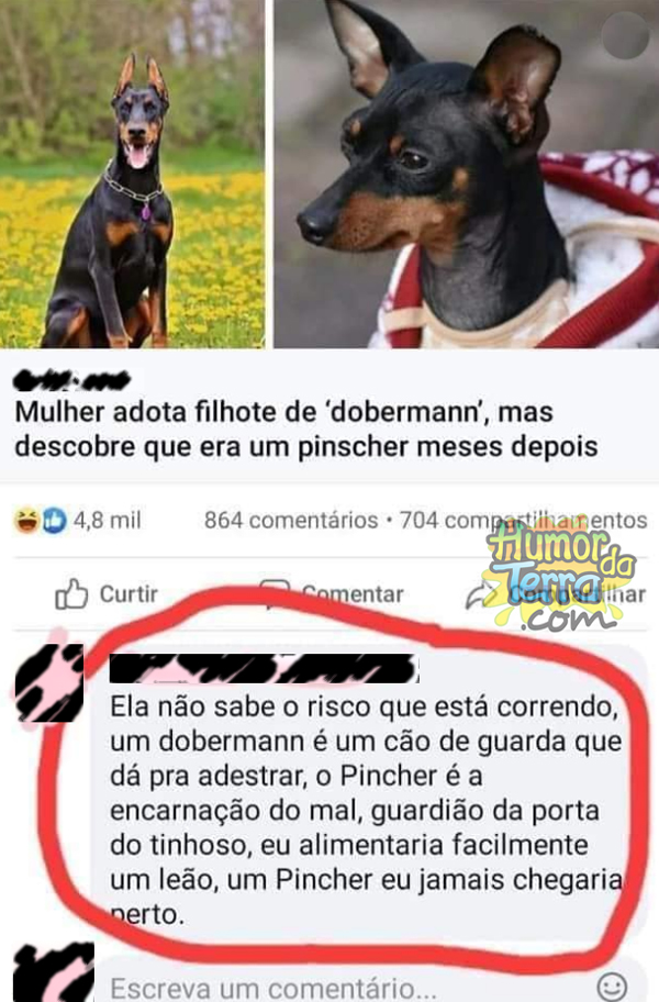 Uma trollada que deu muito ruim